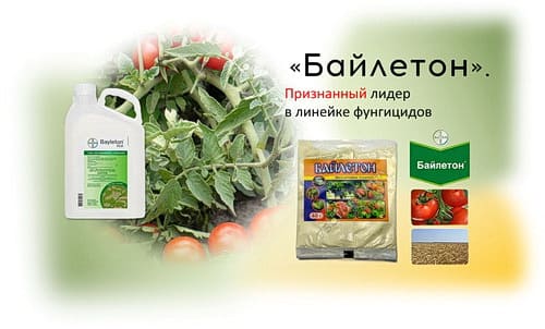 Байлетон Байлетон