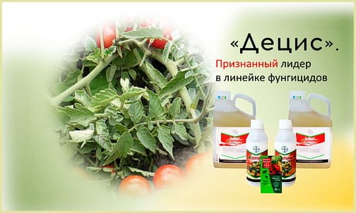 Децис