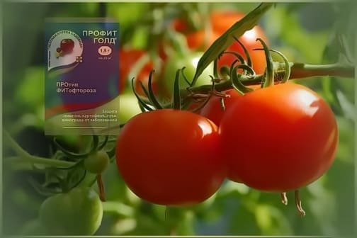 Профит Голд Профит Голд