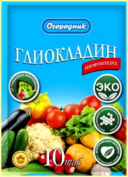 Глиокладин, описание, свойство Глиокладин, описание, свойство