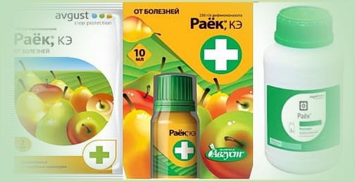 Фунгицид Раек
