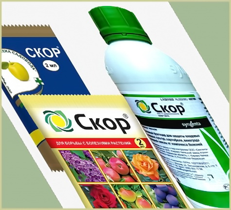 Скор-системный фунгицид Скор-системный фунгицид