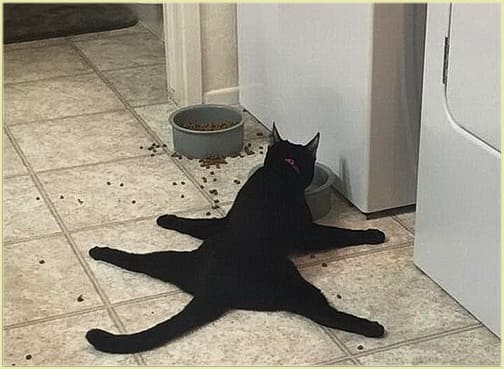 Отходняк Отходняк