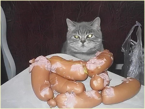 Проверил — мяса нет. Проверил — мяса нет.