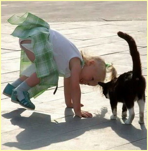 Случай в баре... Случай в баре...