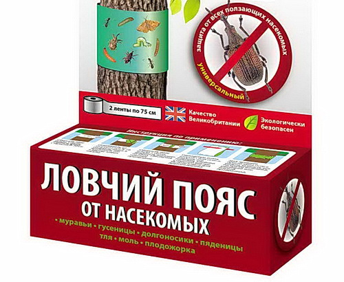 Ловчие пояса