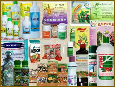 Биологическая защита сада Биологическая защита сада
