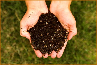 compost-pic-reduced