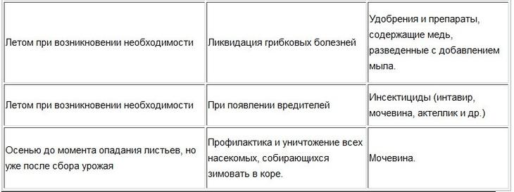 Обработка яблонь