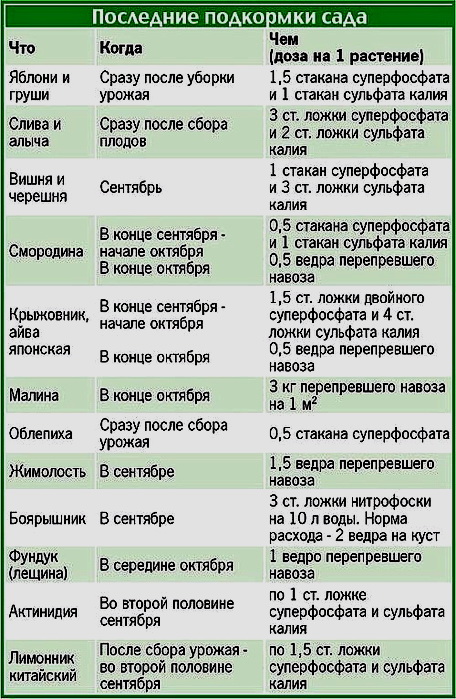 Подкормка деревьев перед зимой