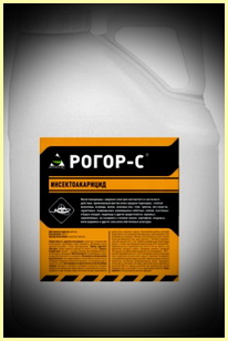 Рогор-с
