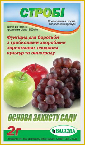 Что такое препарат Строби, применение и использование в садоводстве.