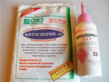 Фитоспорин, описание и применение фитоспорина М.