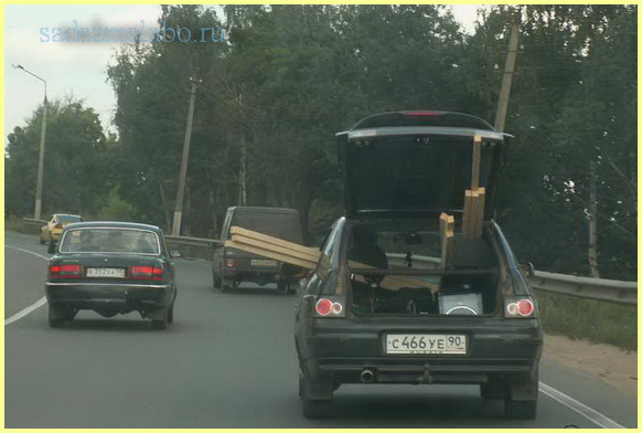 Фото приколы
