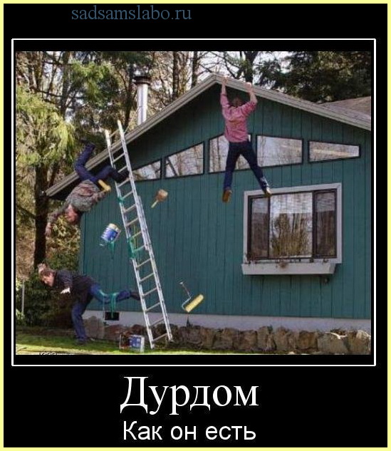 Фото приколы