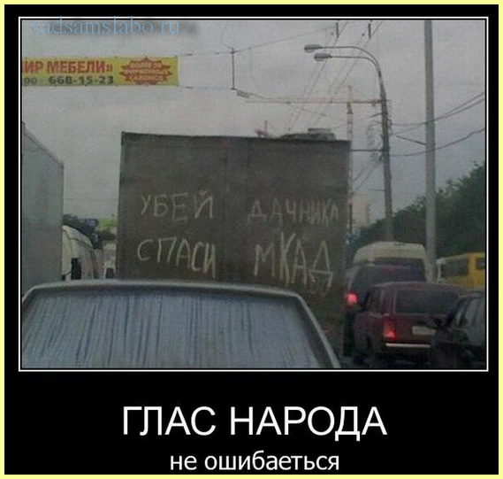 фото приколы