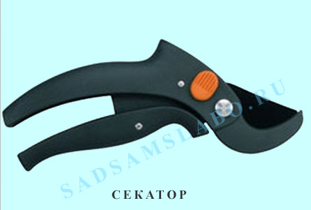 Секатор