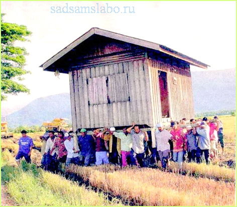 фото приколы на даче